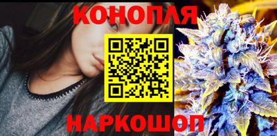гашик Волгодонск