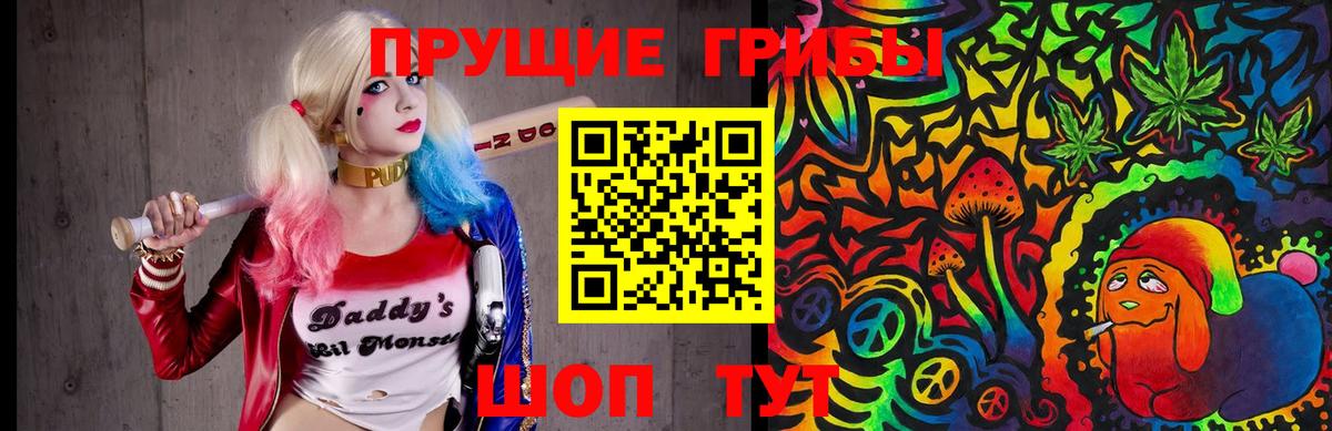 Псилоцибиновые грибы GOLDEN TEACHER Красноярск