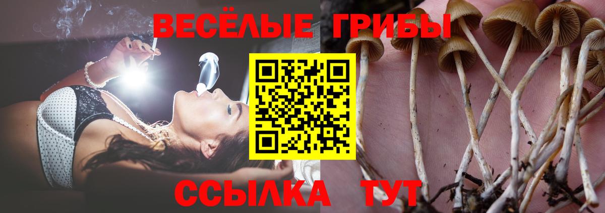 Красноярск  Псилоцибиновые грибы MAGIC MUSHROOMS  Вход с VPN 
